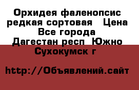 Орхидея фаленопсис редкая сортовая › Цена ­ 800 - Все города  »    . Дагестан респ.,Южно-Сухокумск г.